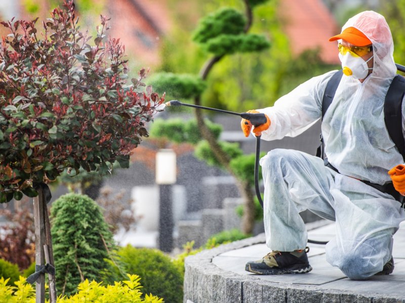 Yenifoça Haşere İlaçlama