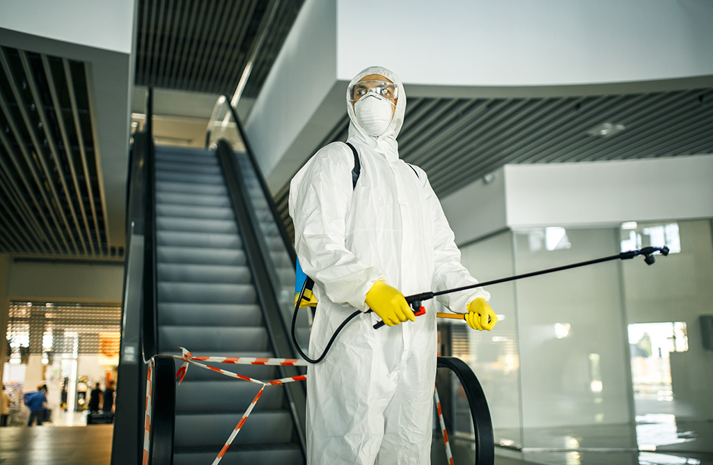 Yenifoça Haşere İlaçlama